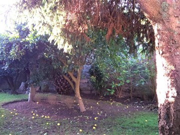 Casa en Raposeira - O Grove